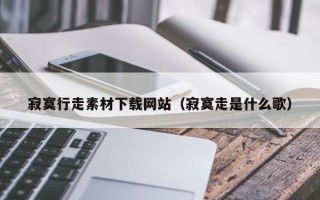 邵阳县寂寞行走素材下载网站（寂寞走是什么歌）
